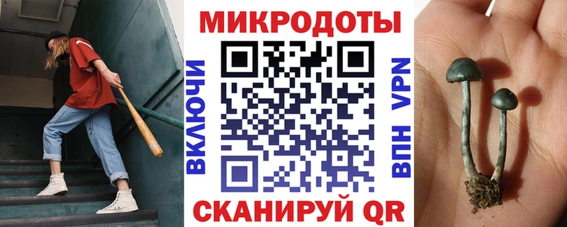 Псилоцибиновые грибы ЛСД  Терек 
