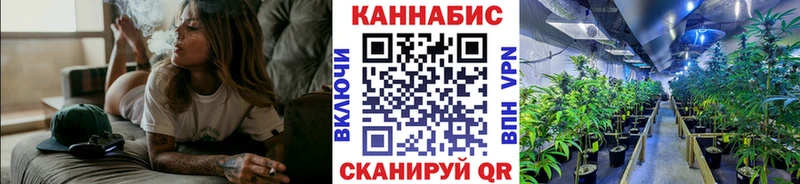 Каннабис планчик kraken зеркало Терек